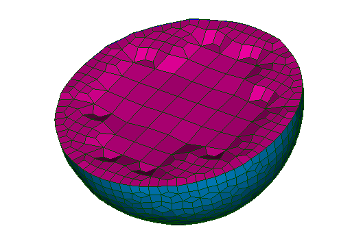 hexotic_local_size_example.png